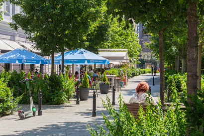 Patryk Zaręba Patryk Zaręba