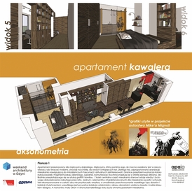 Apartament dla mężczyzny dojrzałego - apaja
